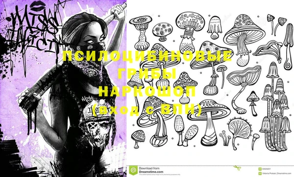 мяу мяу кристалл Медвежьегорск