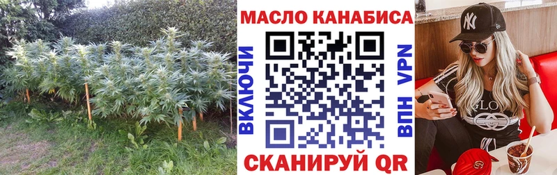 где купить наркотик Каменногорск Дистиллят ТГК гашишное масло